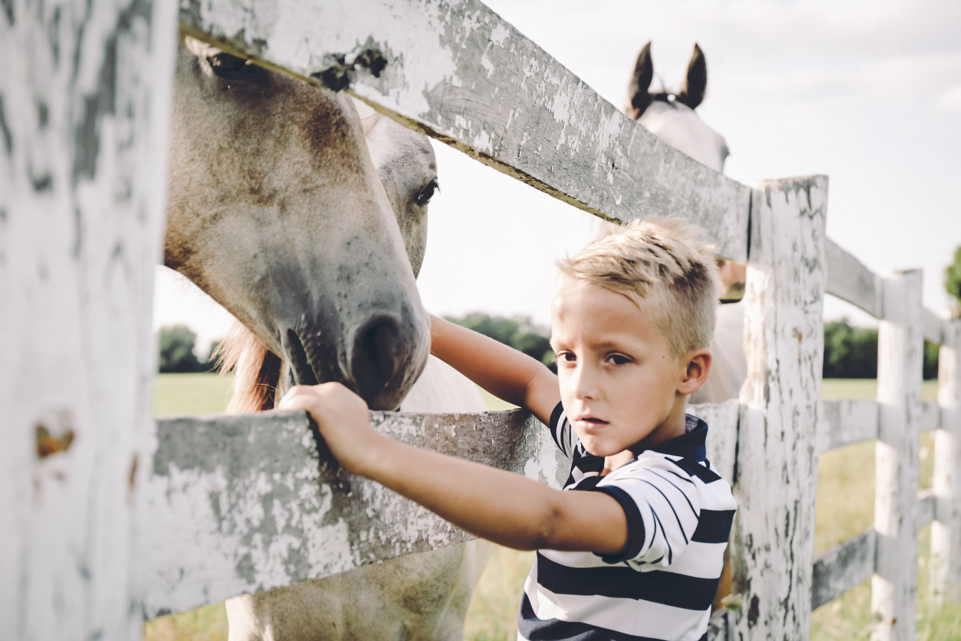 A child standing with horses after the final color edit