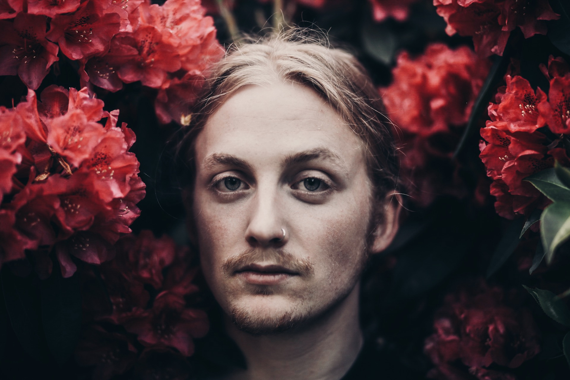 An editorial portrait framed by deep red flowers